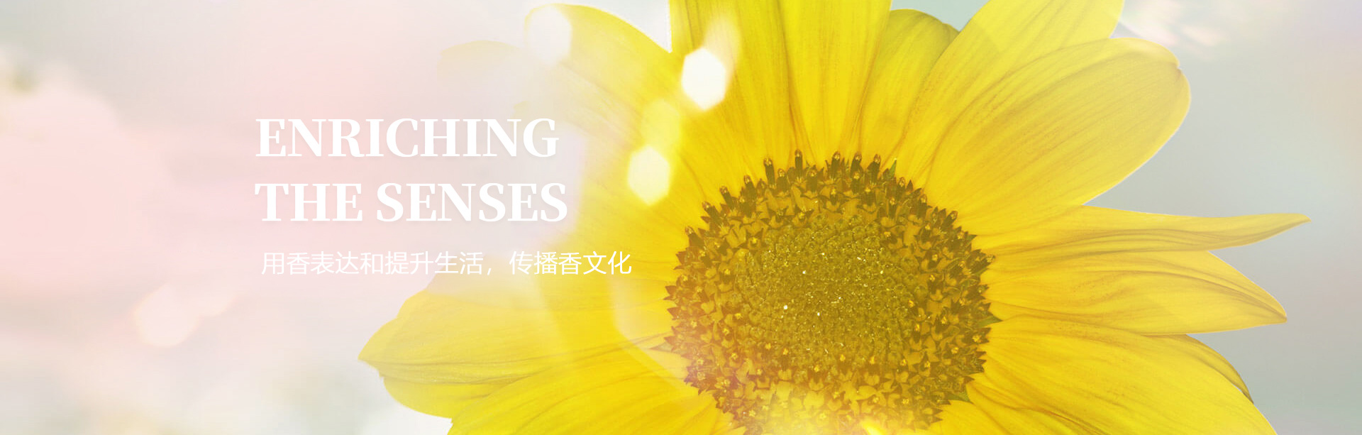 首页轮播